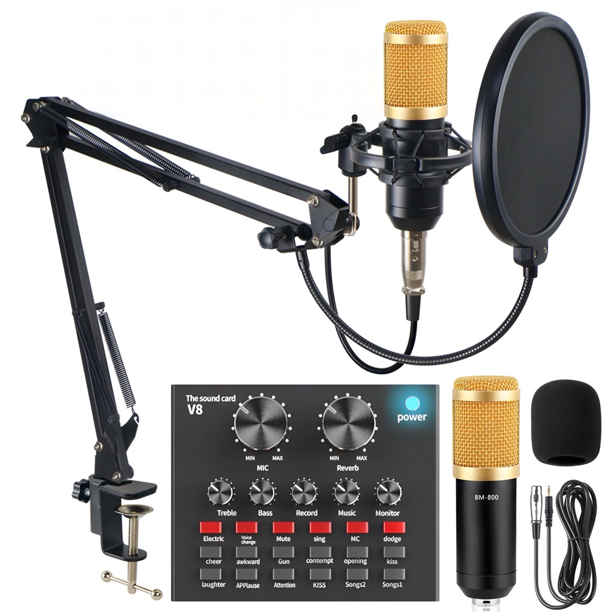 professional prodcast microphone