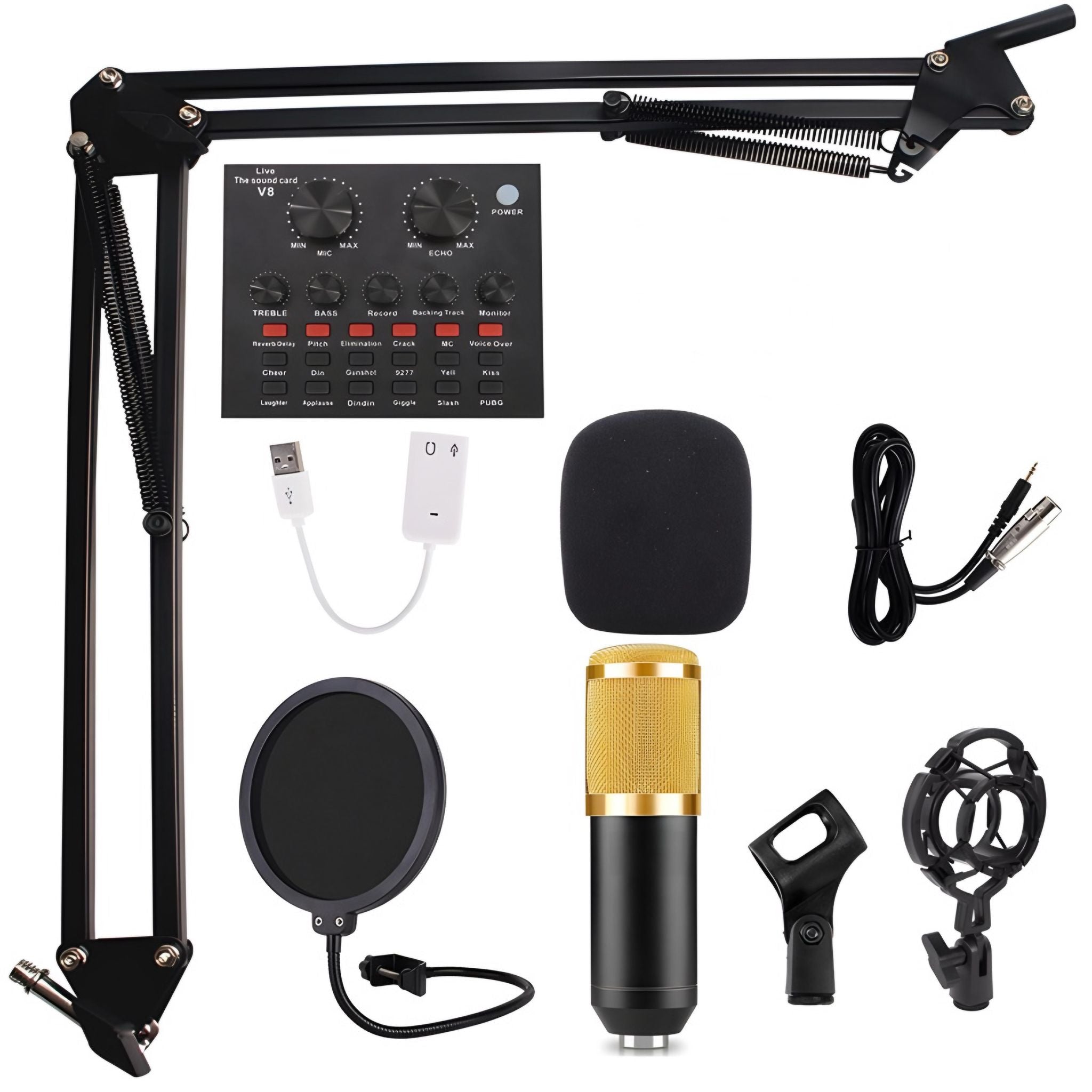 professional prodcast microphone